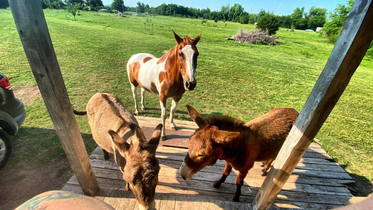 Tiny Cabin At The Donkeyranch Medicine Park Экстерьер фото